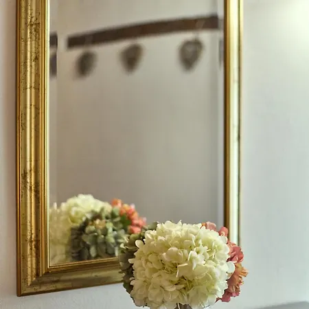 La Casina In Via Fiorita Apartment